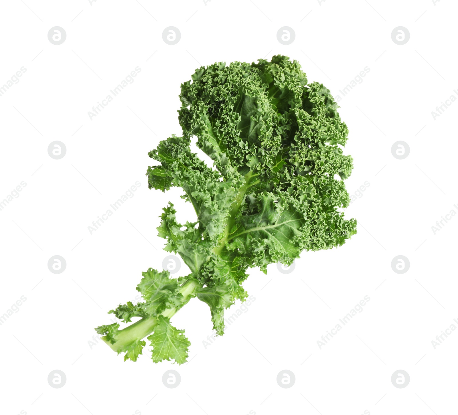 Photo of Fresh green kale leaf isolated on white