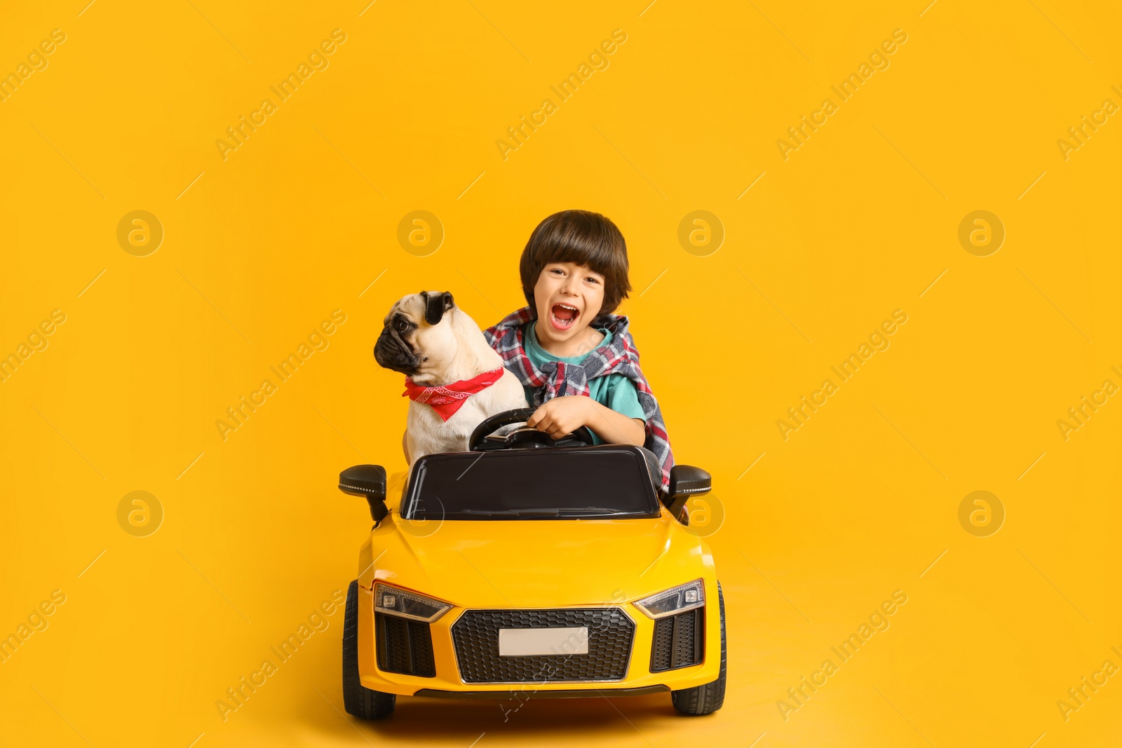 Photo of Little boy with his dog in toy car on yellow background