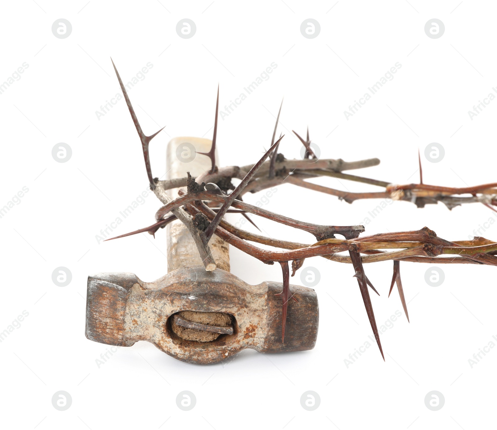 Photo of Crown of thorns and hammer on white background. Easter attributes