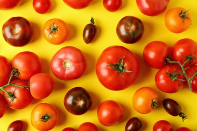 Photo of Flat lay composition with fresh ripe tomatoes on yellow background