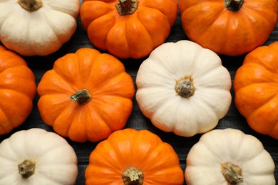 Photo of Different ripe pumpkins on black wooden table, flat lay