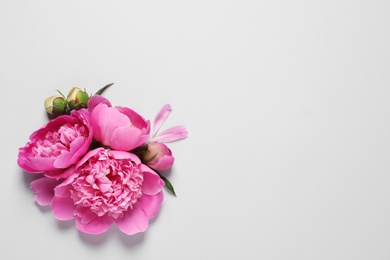 Photo of Beautiful peony flowers on light background, top view. Space for text