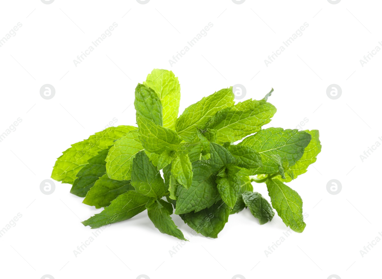 Photo of Aromatic fresh mint leaves on white background