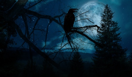 Image of Creepy black crow croaking in scary dark forest on full moon night