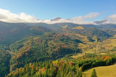 Aerial view of beautiful mountain forest and village on autumn day