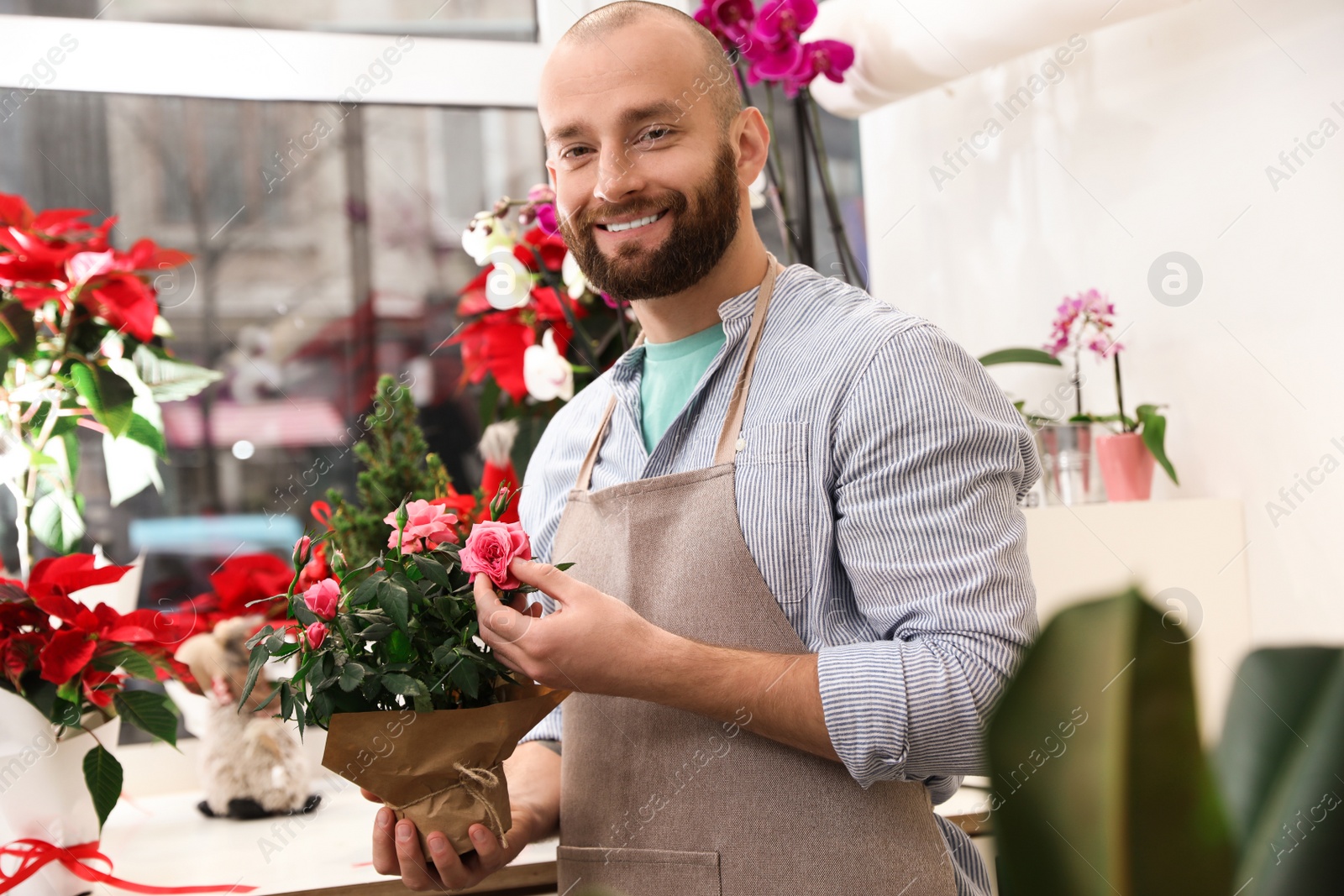 Photo of Professional male florist in apron at workplace