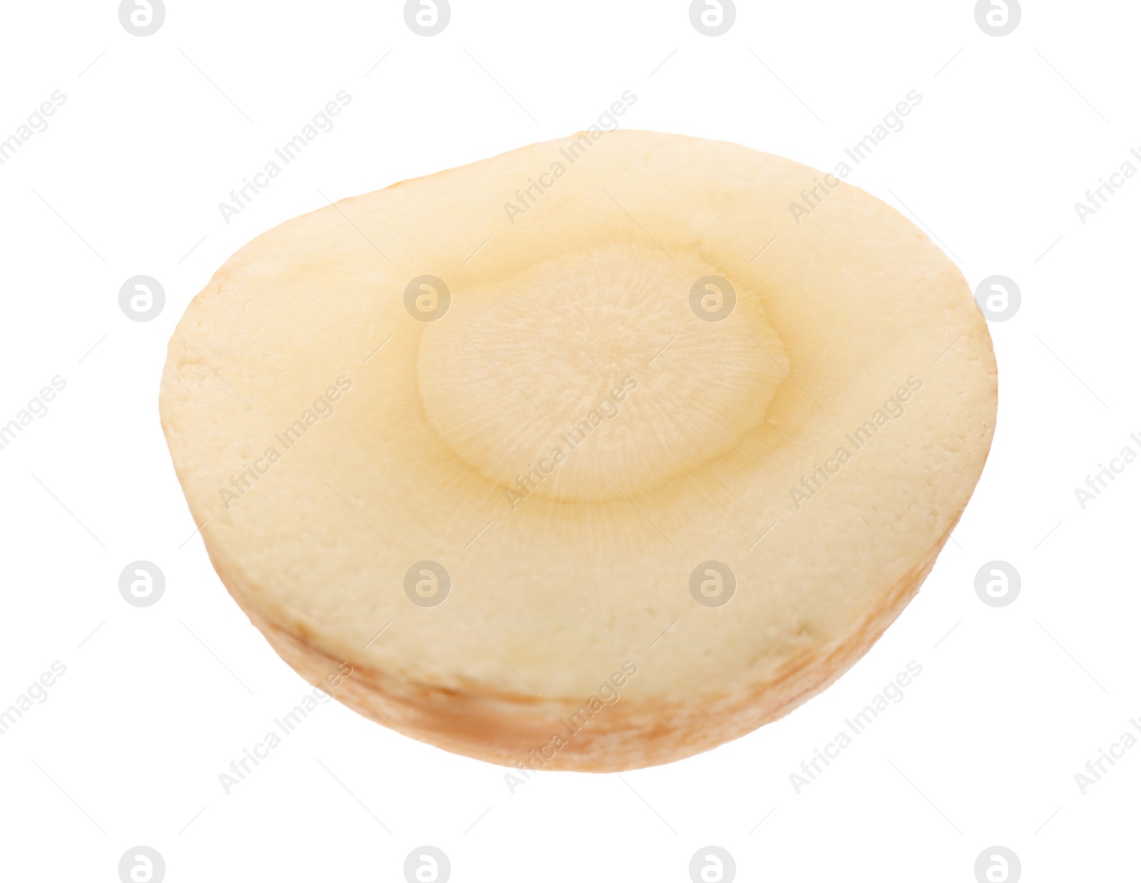 Photo of Piece of fresh parsnip isolated on white