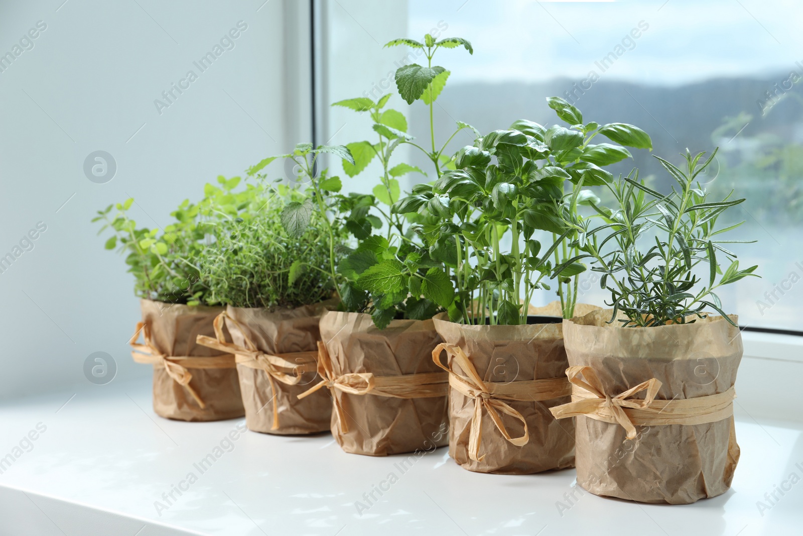 Photo of Different fresh potted herbs on windowsill indoors