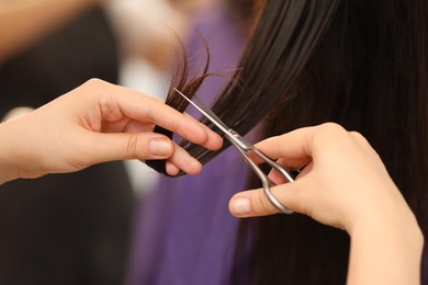 Photo of Professional stylist cutting client's hair on blurred background, closeup