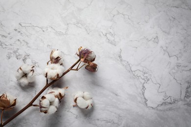 Photo of Dry cotton branch with fluffy flowers on white marble background, top view. Space for text