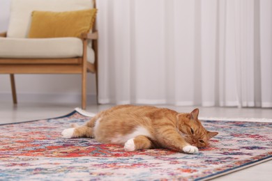 Cute ginger cat lying on carpet at home