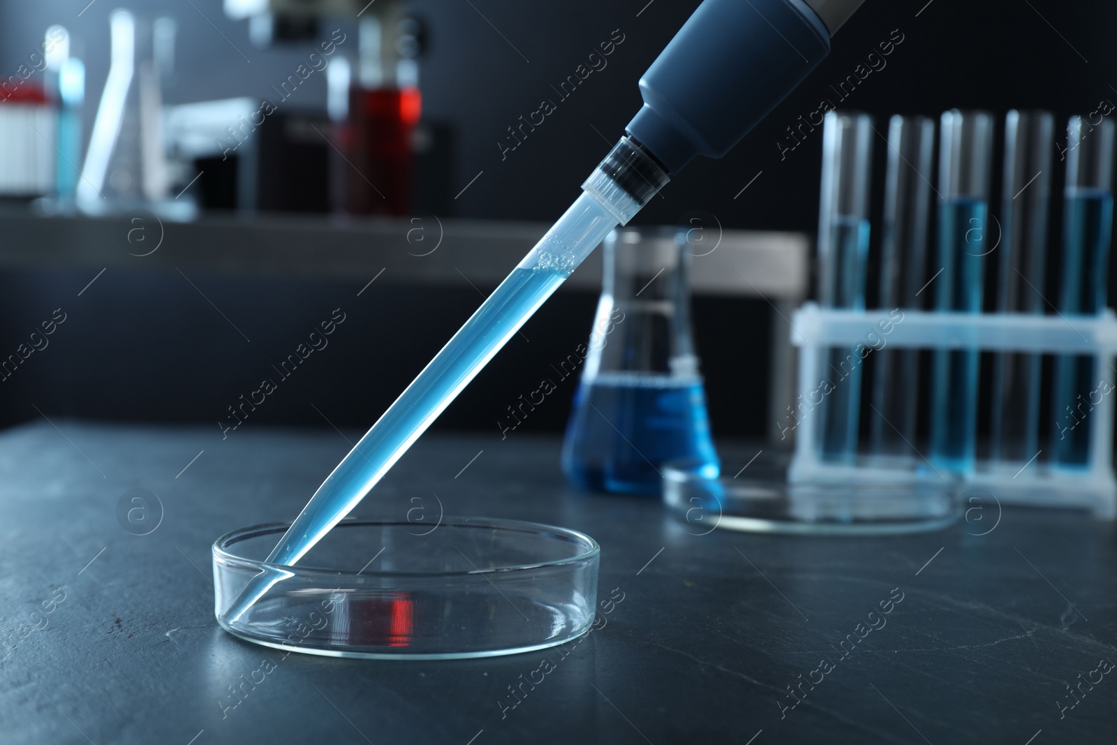 Photo of Laboratory analysis. Micropipette with liquid and petri dish on black table