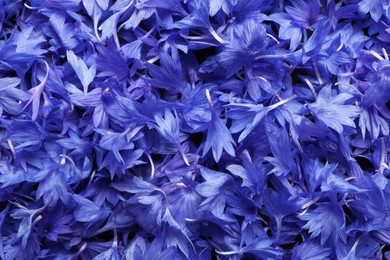 Beautiful blue cornflowers petals as background, top view