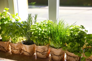 Photo of Different aromatic potted herbs on windowsill indoors