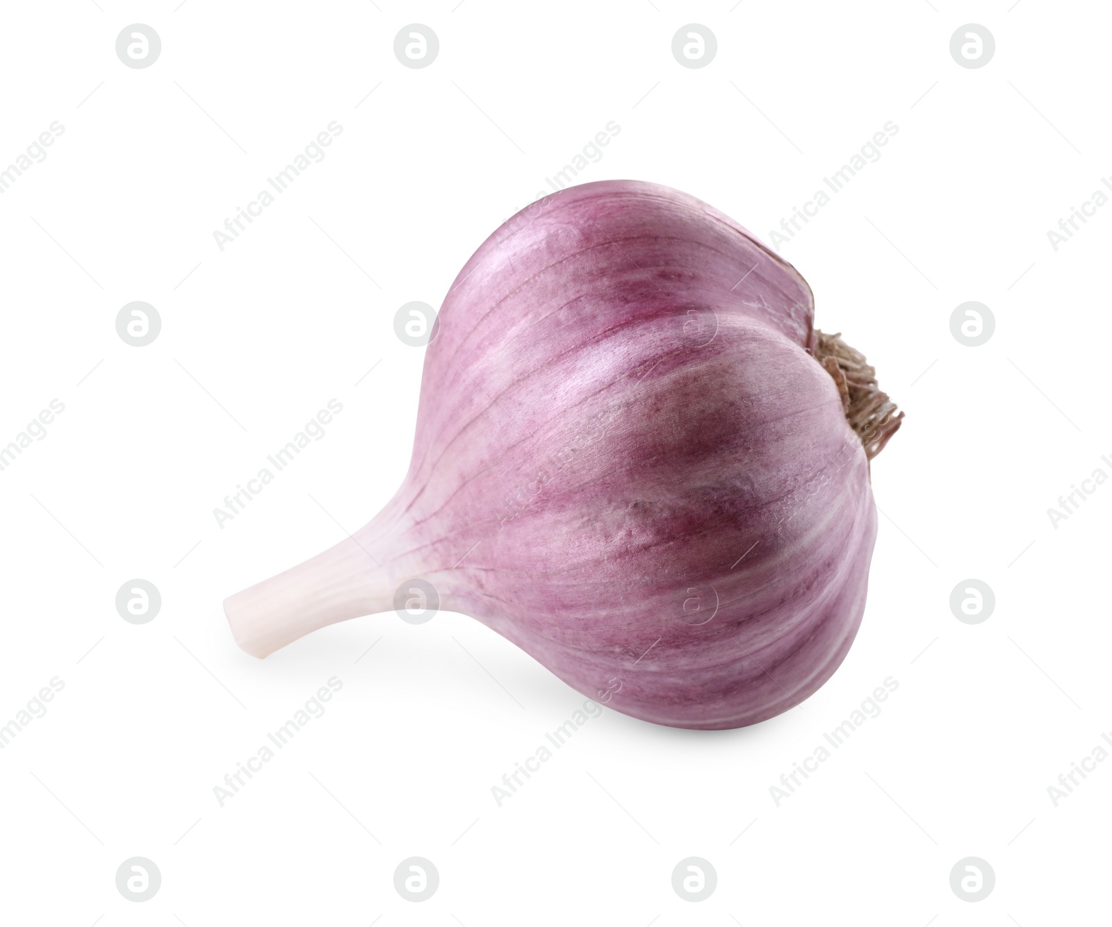 Photo of Fresh raw garlic head isolated on white