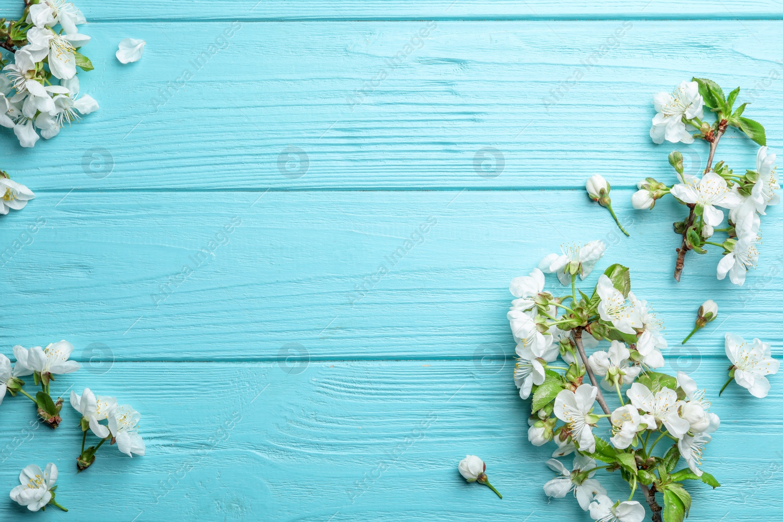 Photo of Flat lay composition of beautiful fresh spring flowers on wooden background, space for text