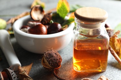 Horse chestnuts and bottle of tincture on grey table, closeup