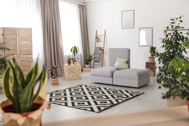 Trendy room interior with sofa and different home plants