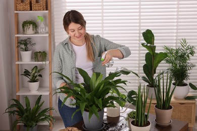 Photo of Woman spraying houseplants with water after transplanting at wooden table indoors