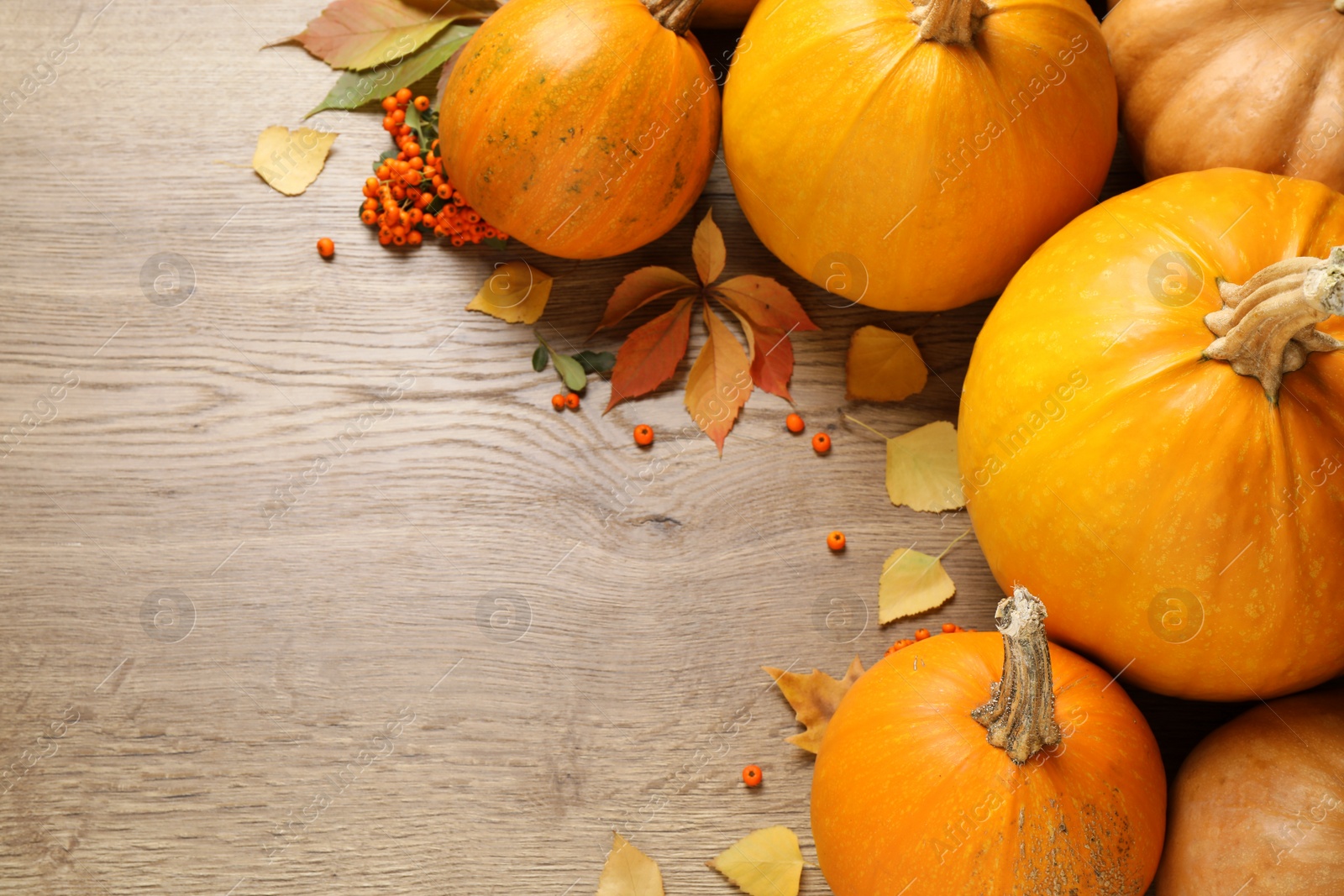 Photo of Flat lay composition with different ripe pumpkins on wooden background, space for text. Holiday decoration