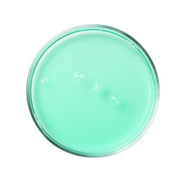 Photo of Petri dish with turquoise liquid sample on white background, top view