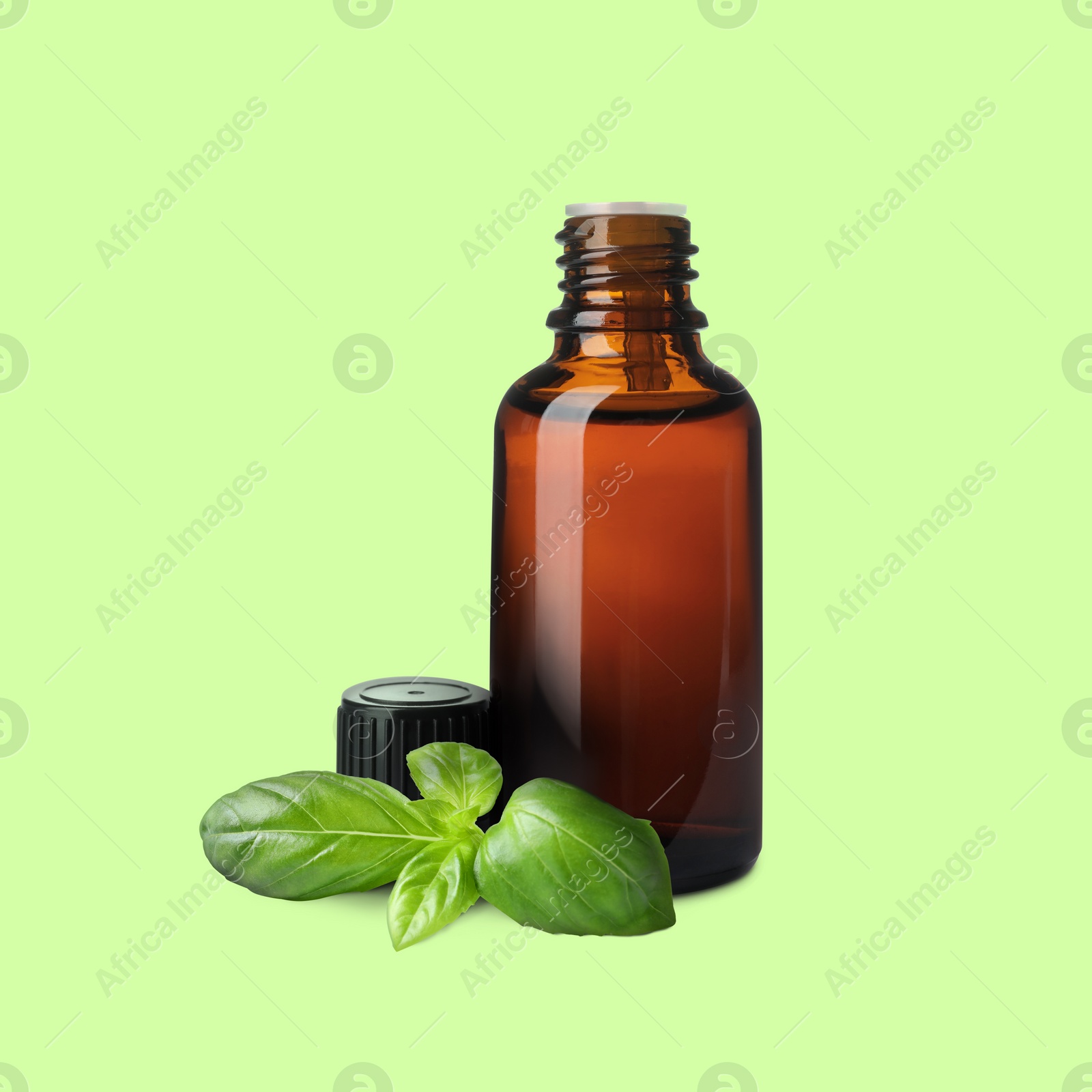 Image of Bottle of basil essential oil and leaves on light green background