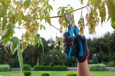 Photo of Woman trimming young tree branches outdoors, closeup. Home gardening