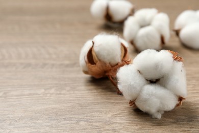 Photo of Beautiful cotton fluffy flowers on wooden table, closeup. Space for text