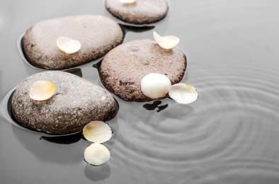 Photo of Stones and flower petals in water. Zen lifestyle