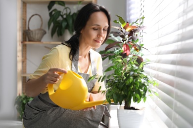 Photo of Mature woman watering plant on windowsill at home. Engaging hobby