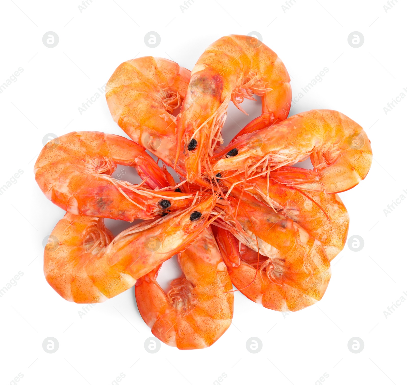 Photo of Delicious cooked shrimps isolated on white, top view