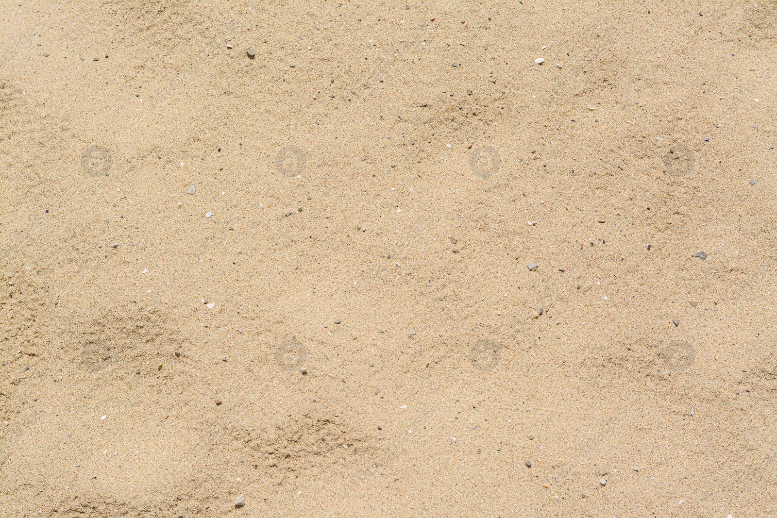 Photo of Texture of sandy beach as background, above view