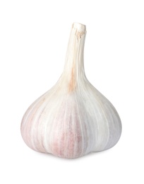 Photo of Fresh organic garlic bulb on white background