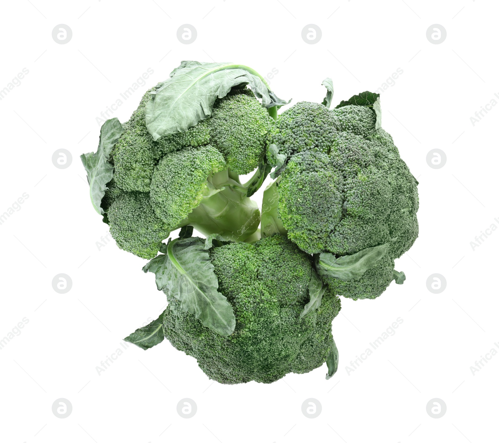 Photo of Fresh green broccoli isolated on white, top view. Organic food