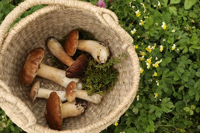 Photo of Wicker basket with fresh wild mushrooms outdoors, top view. Space for text