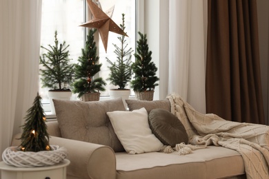 Photo of Sofa near window with small fir trees in room. Interior design
