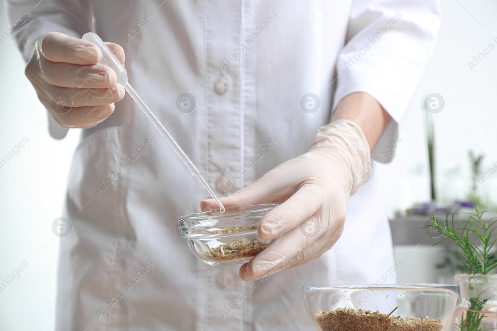 Photo of Scientist developing cosmetic product in laboratory, closeup