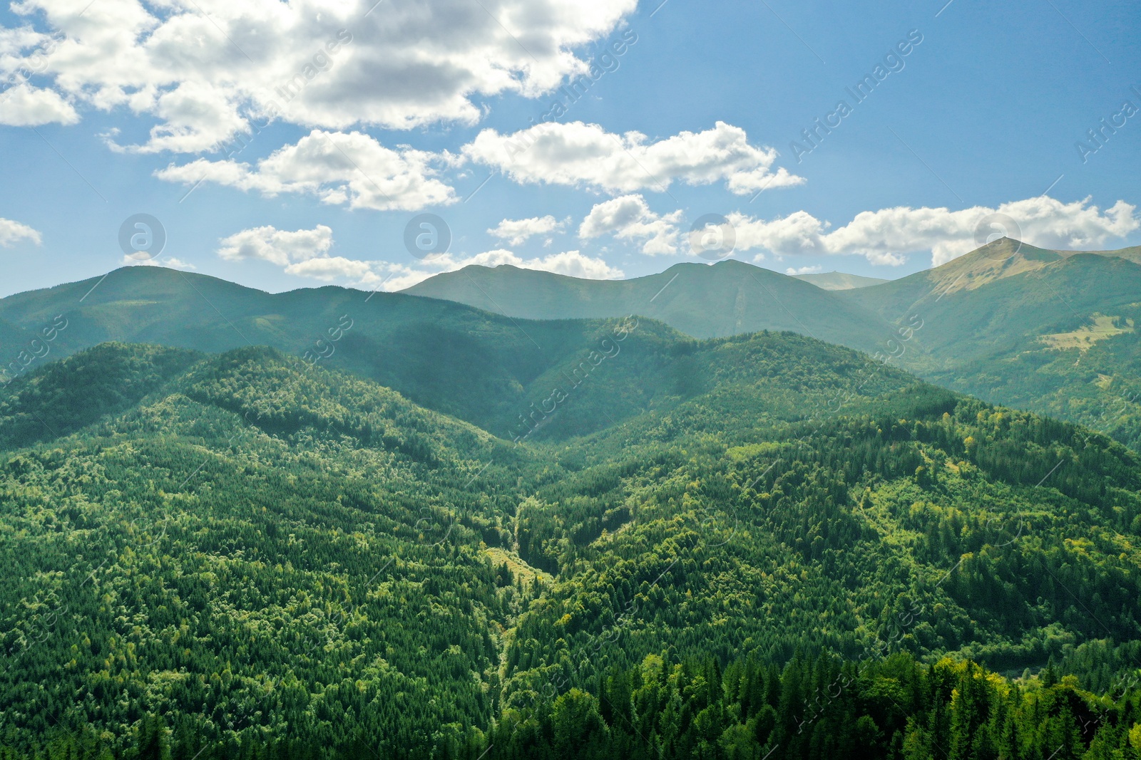 Photo of Beautiful mountain landscape with green trees under blue sky on sunny day. Drone photography