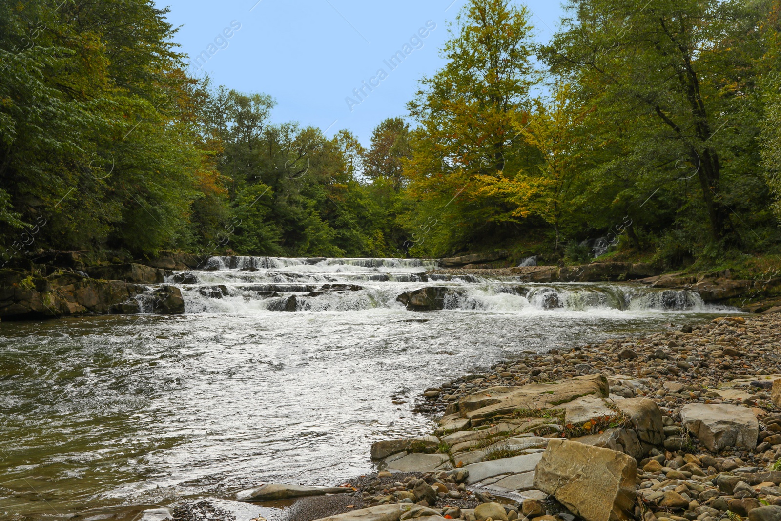 Photo of Picturesque view of beautiful river flowing near forest