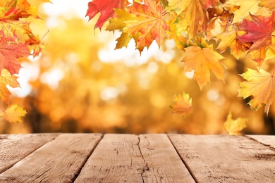 Image of Empty wooden surface and beautiful autumn leaves on blurred background, space for text
