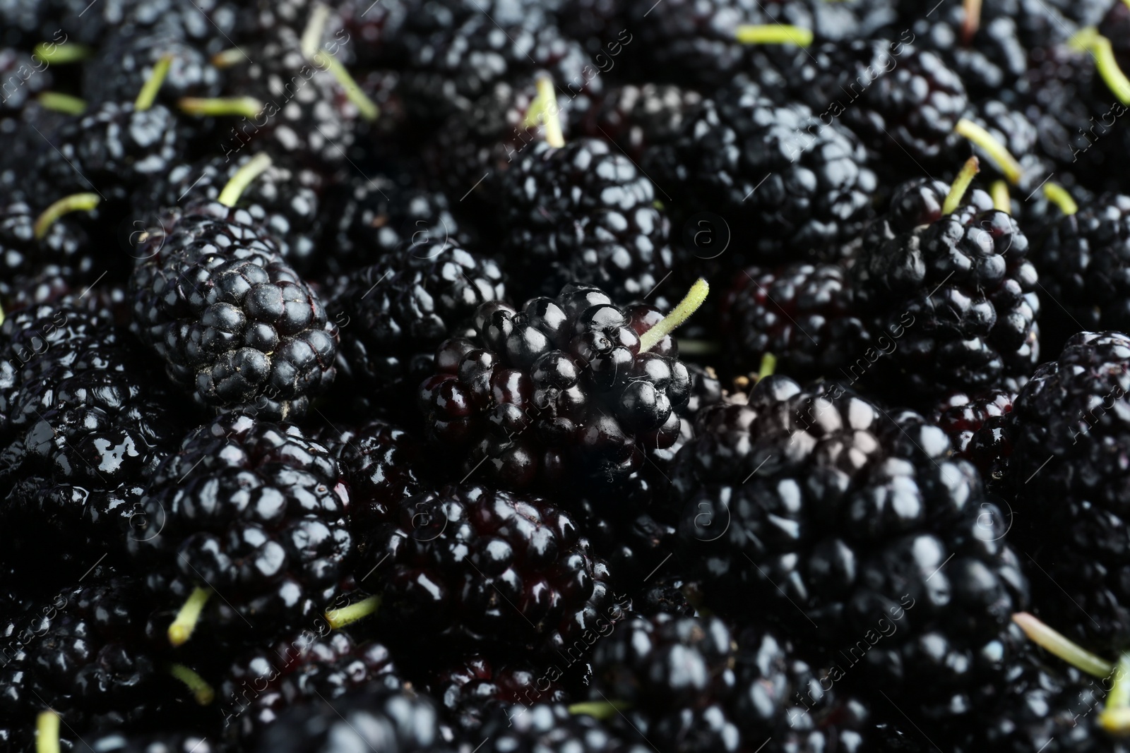 Photo of Fresh ripe black mulberries as background, closeup