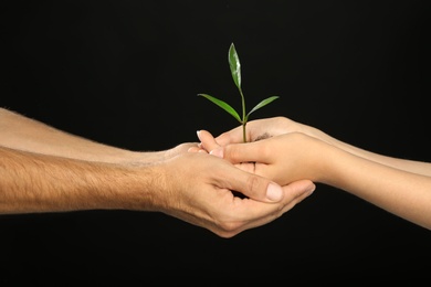 Woman and man holding soil with green plant in hands on black background. Family concept