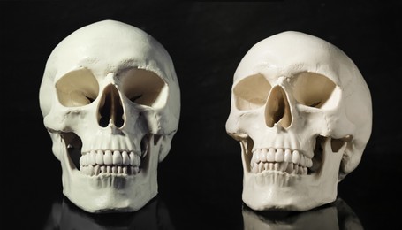 Image of Two white human skulls on black background