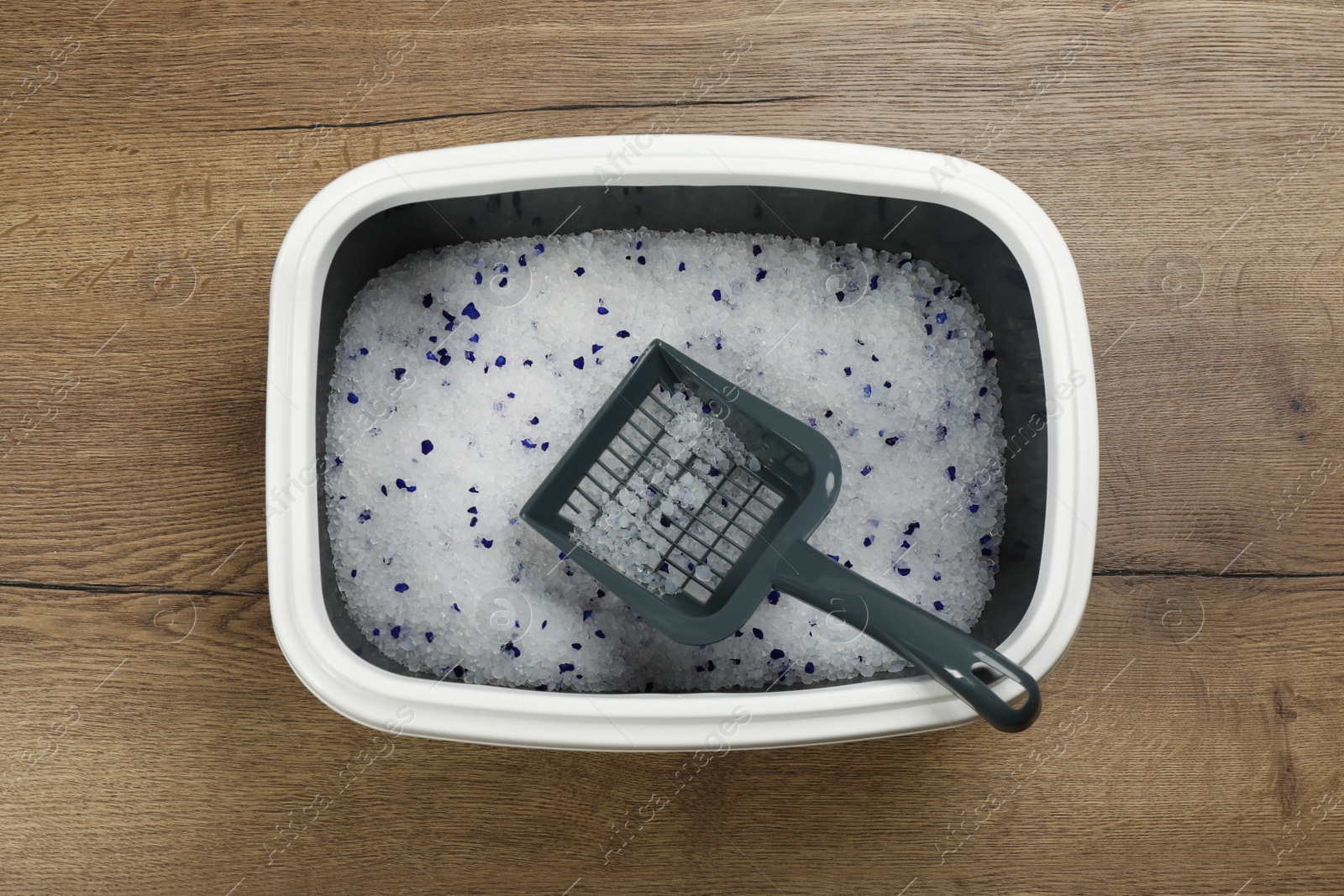 Photo of Cat litter tray with filler and scoop on wooden floor, top view