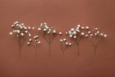 Photo of Twigs of white gypsophila plant on brown background. Space for text