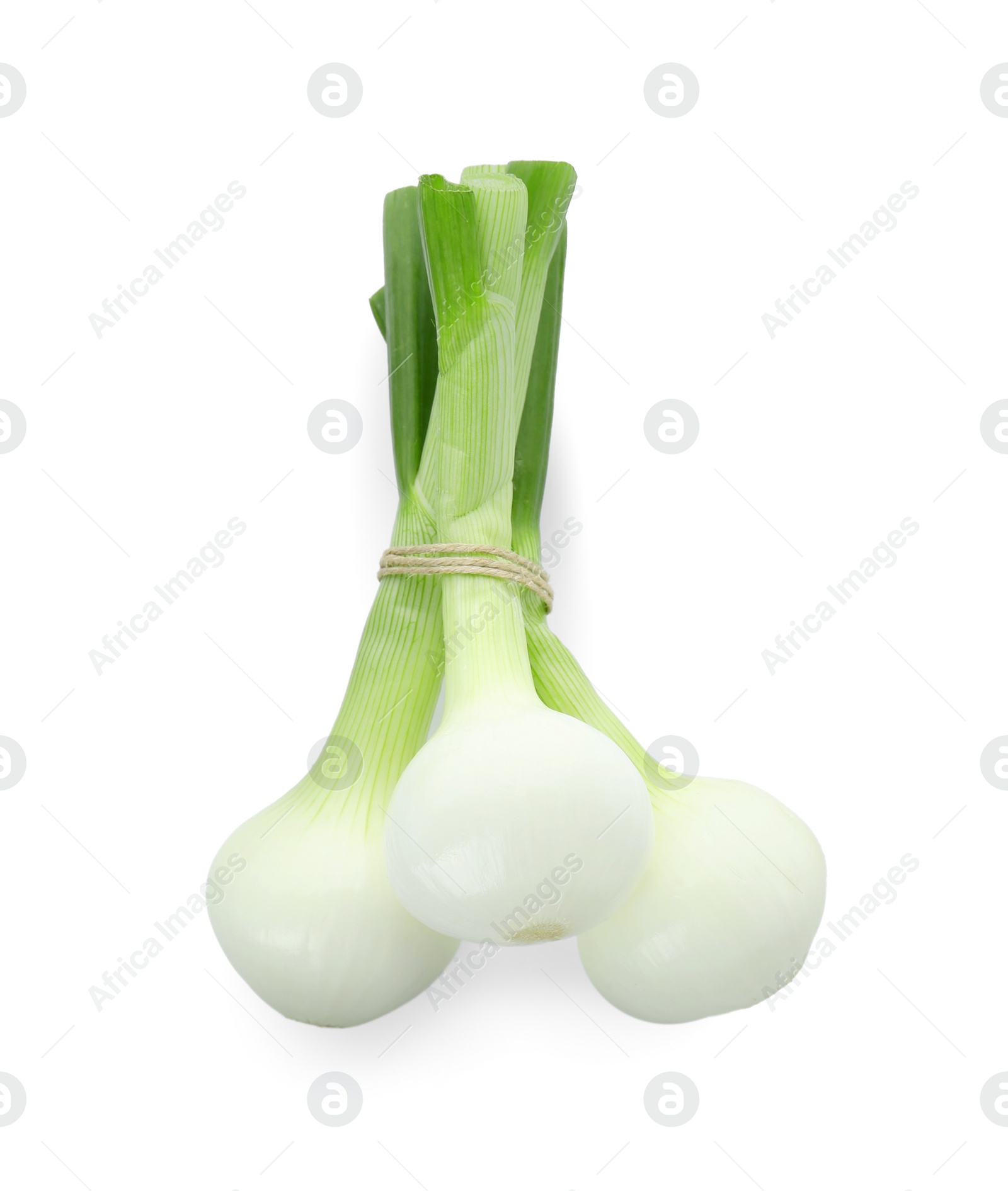 Photo of Bunch of fresh green spring onion isolated on white, top view