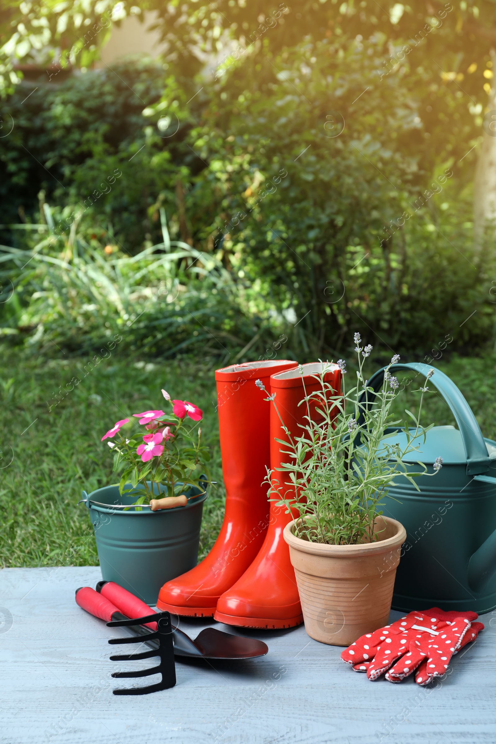 Photo of Beautiful flowers and gardening tools on grey wooden table at backyard