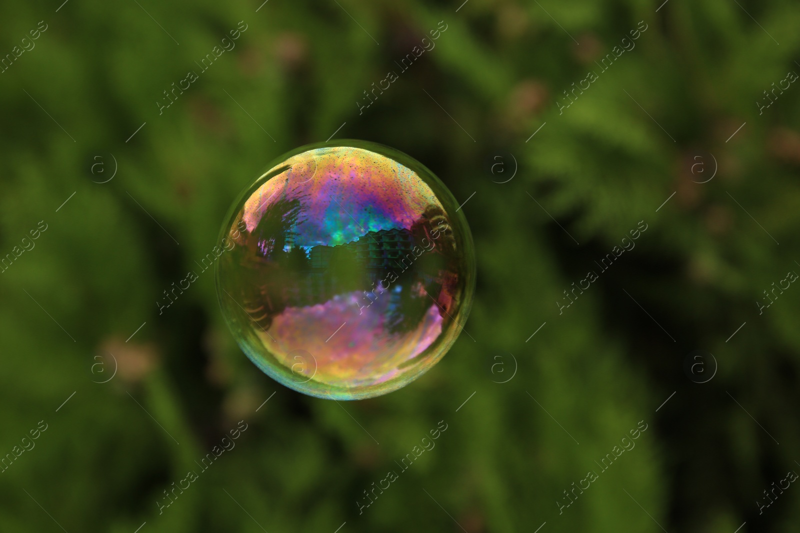 Photo of One beautiful clear soap bubble floating outdoors