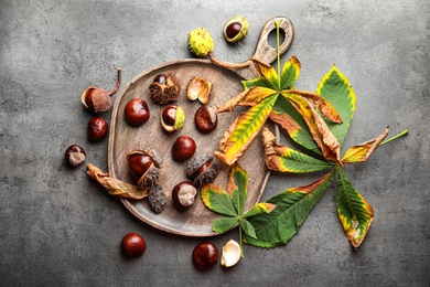 Photo of Horse chestnuts and leaves on grey table, flat lay