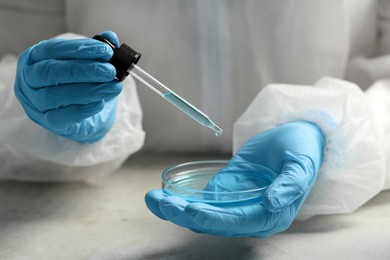 Scientist dripping liquid from pipette into petri dish at table, closeup